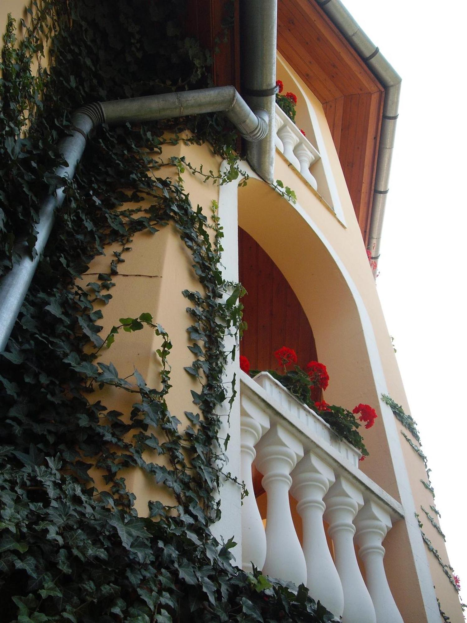 Ilona Kis Kastely Panzio Hotel เคสเท ภายนอก รูปภาพ